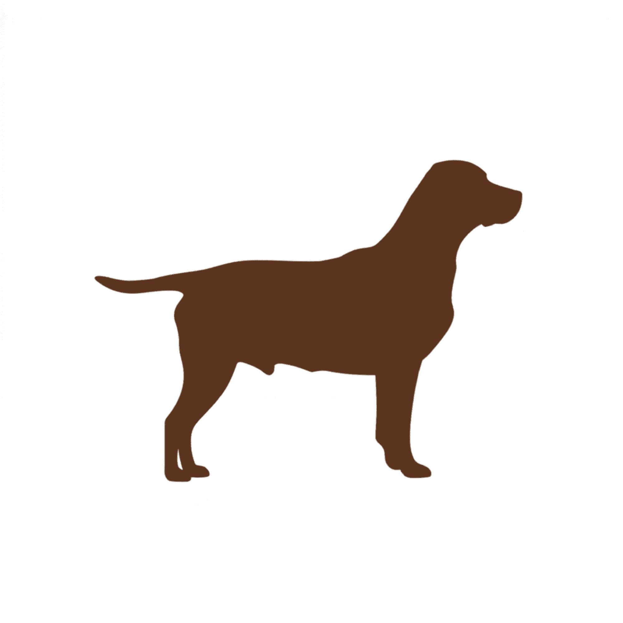 Dog silhouette